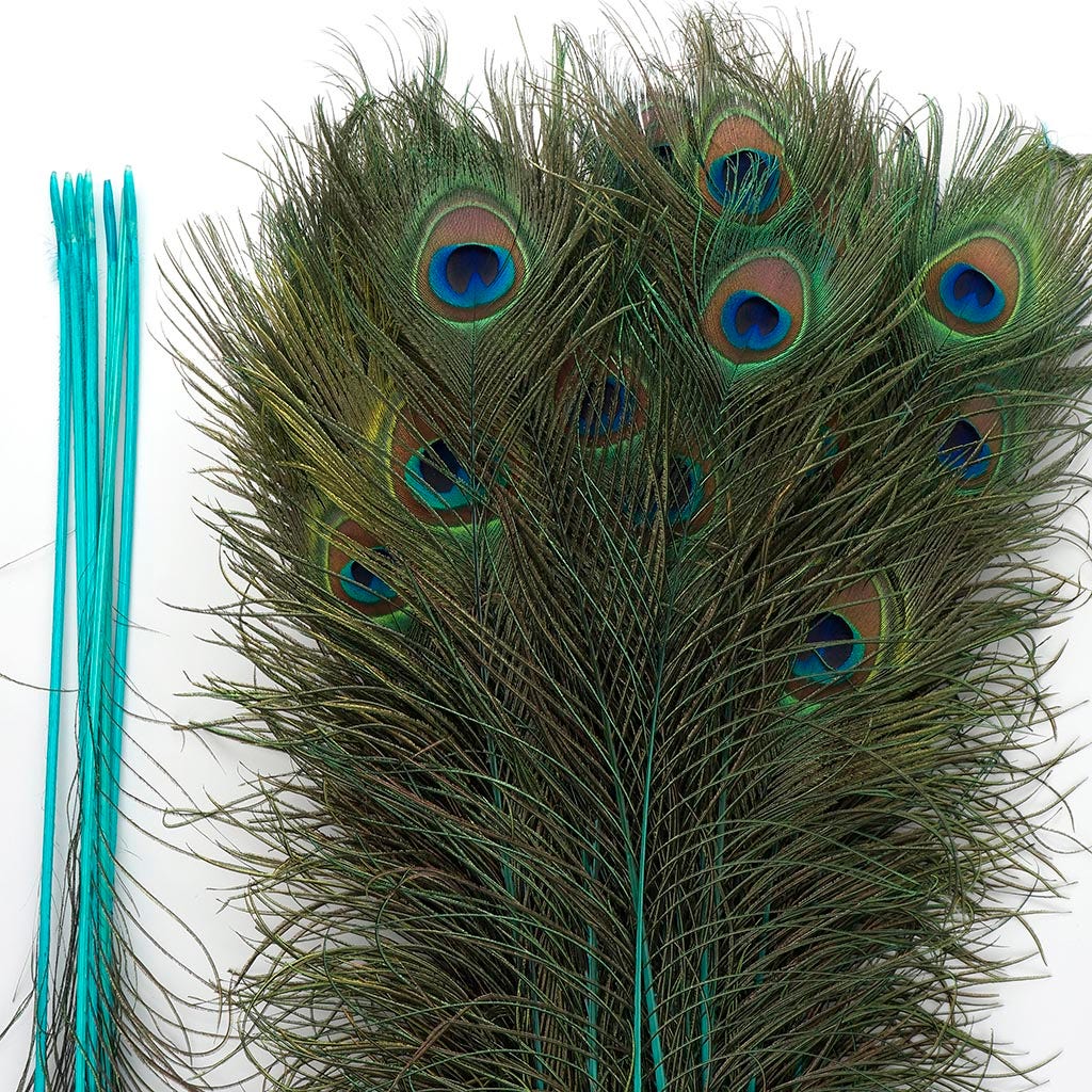 Peacock Tail Eyes Stem Dyed - Light Turquoise