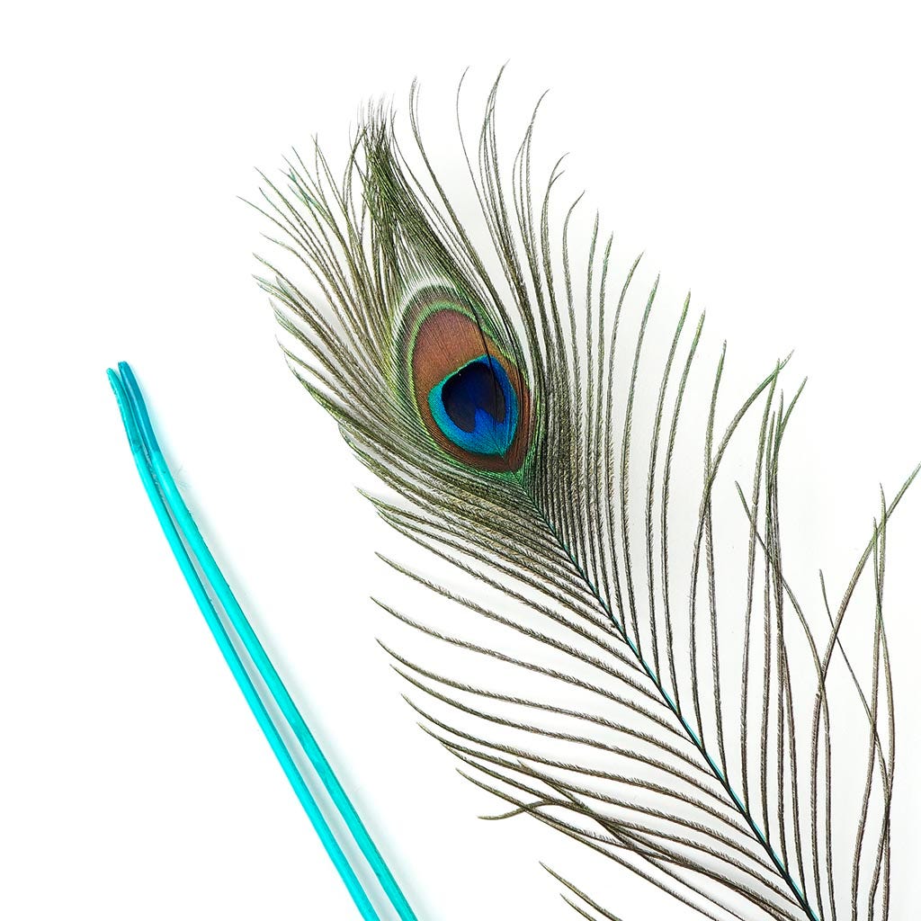 Peacock Tail Eyes Stem Dyed - Light Turquoise