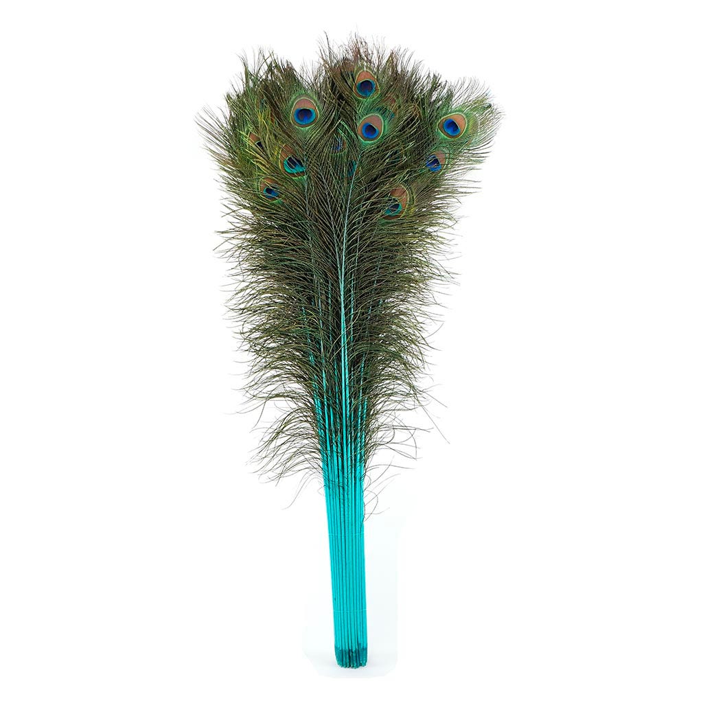 Peacock Tail Eyes Stem Dyed - Light Turquoise