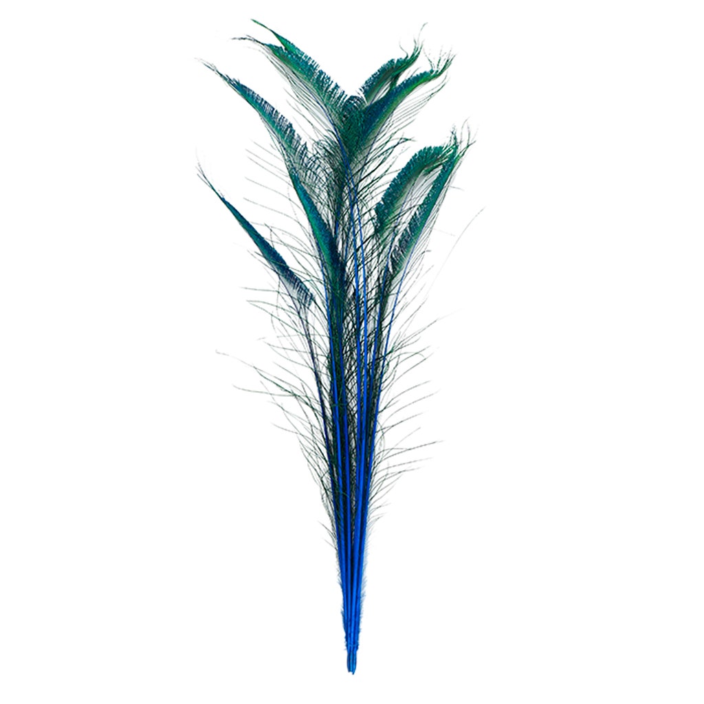 Peacock Swords Stem Dyed - Dark Turquoise