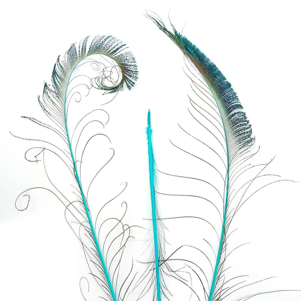 Peacock Swords Stem Dyed Light Turquoise