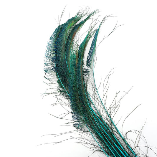 Peacock Swords Stem Dyed - Light Turquoise