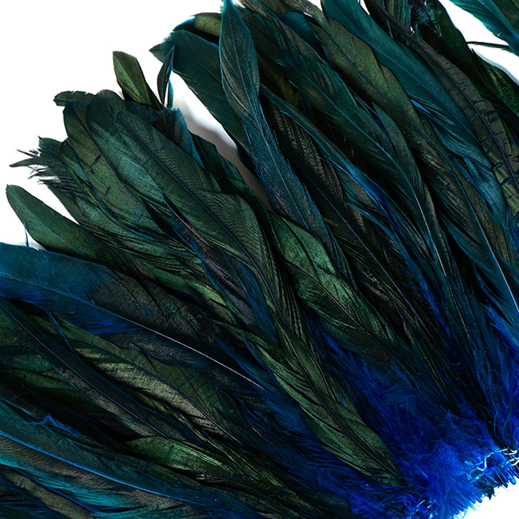 Rooster Coque Tails-Dyed - Dark Turquoise