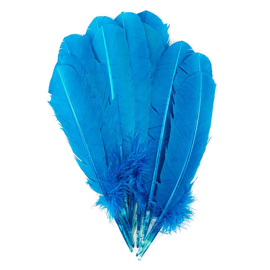 Turkey Quills Selected - Dark Turquoise