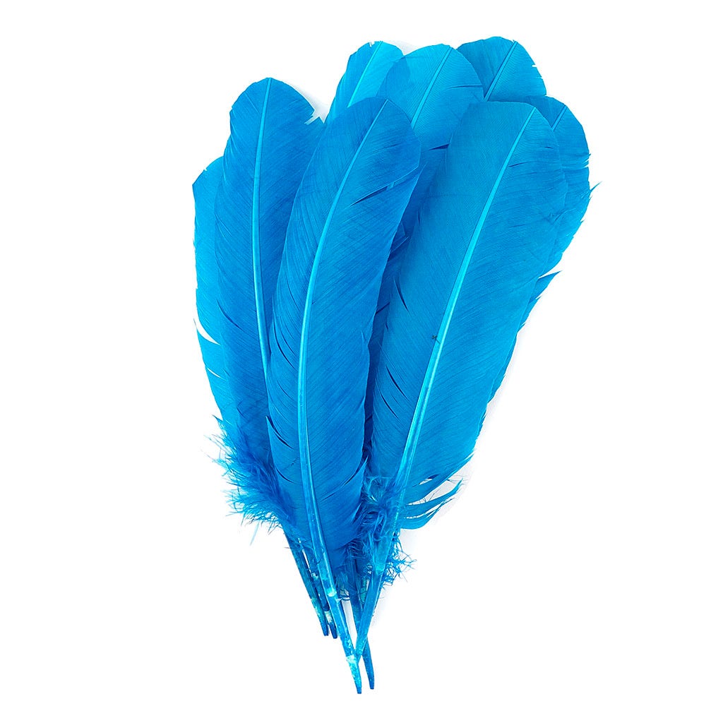 Turkey Quills Selected - Dark Turquoise