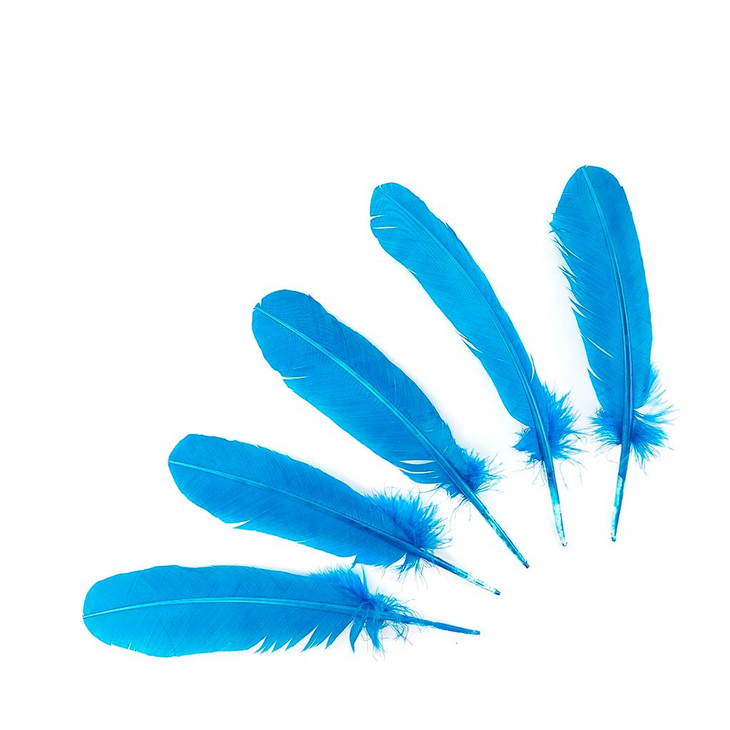 Turkey Quills by Pound - Left Wing - Dark Turquoise