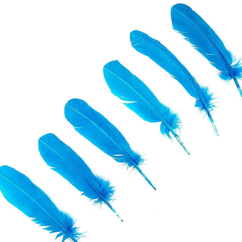 Turkey Quills by Pound - Left Wing - Dark Turquoise