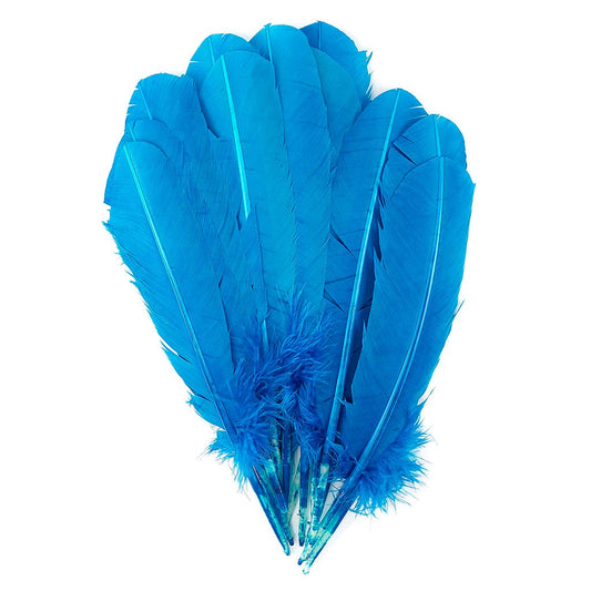 Turkey Quills by Pound - Left Wing - Dark Turquoise