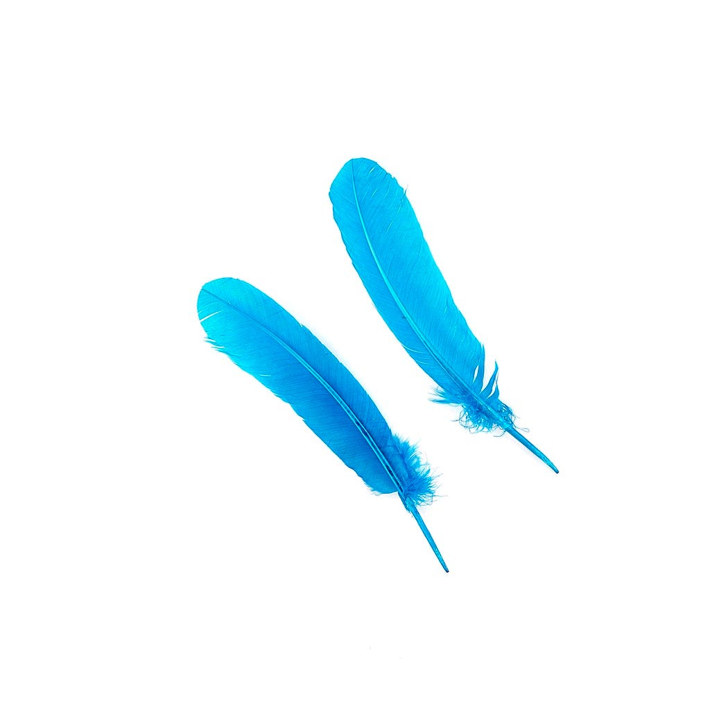 Turkey Quills by Pound - Right Wing - Dark Turquoise