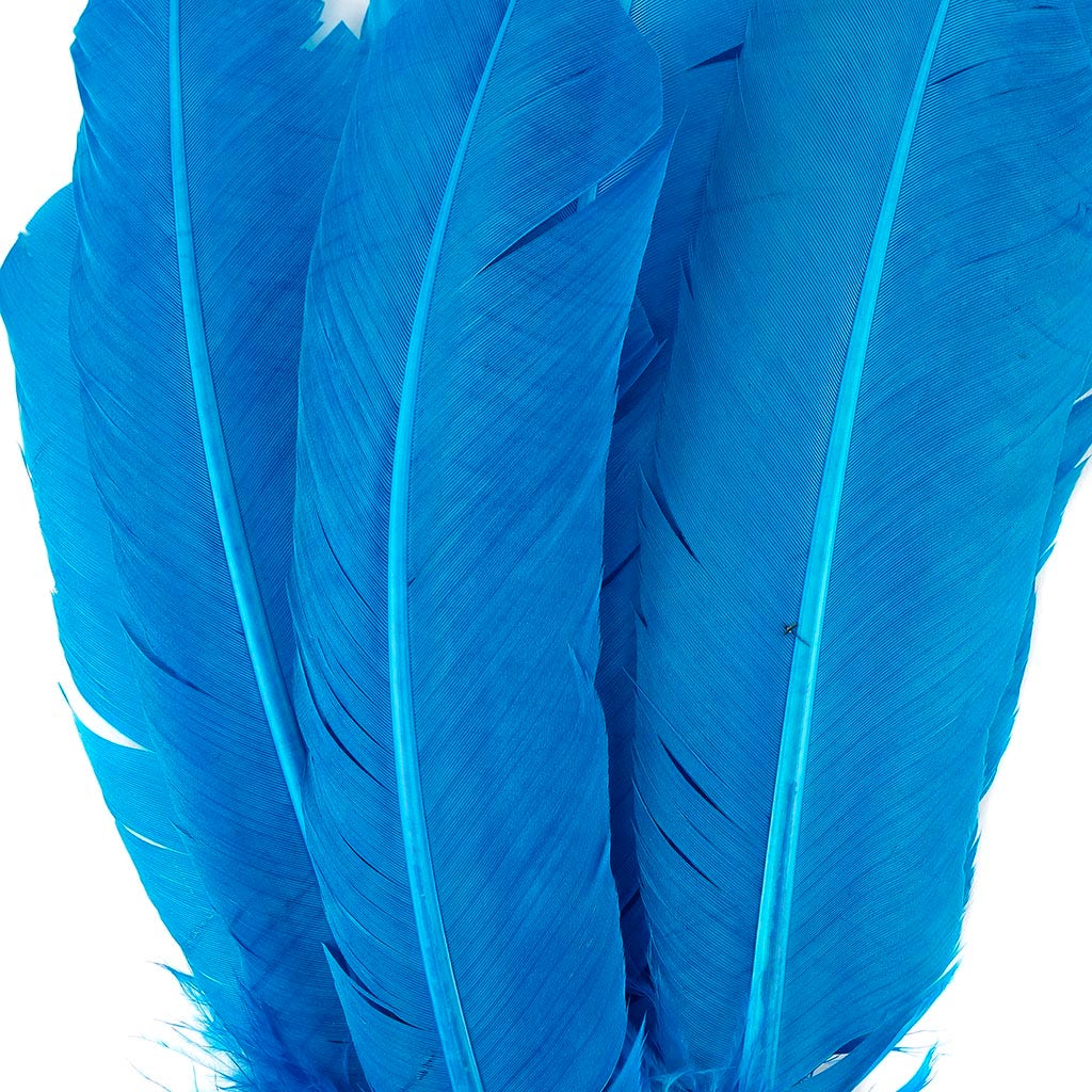 Turkey Quills by Pound - Right Wing - Dark Turquoise