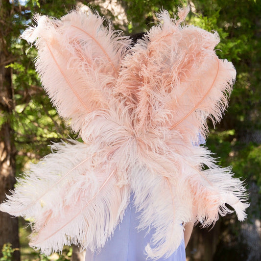 Large Upcycled Ostrich Feather Costume Wings - Champagne