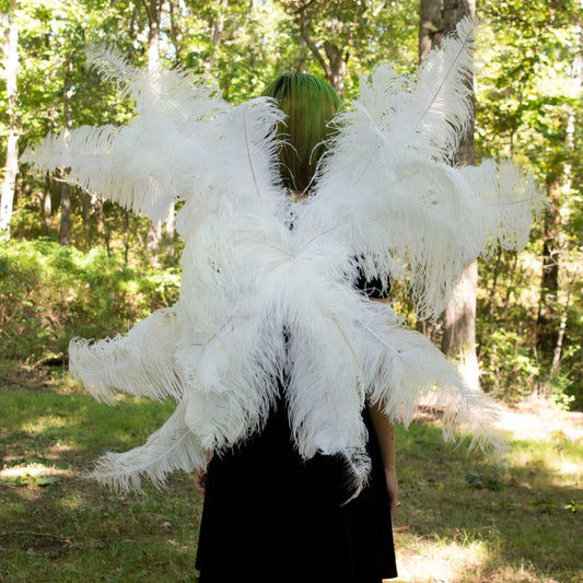 Large Upcycled Ostrich Feather Costume Wings - White