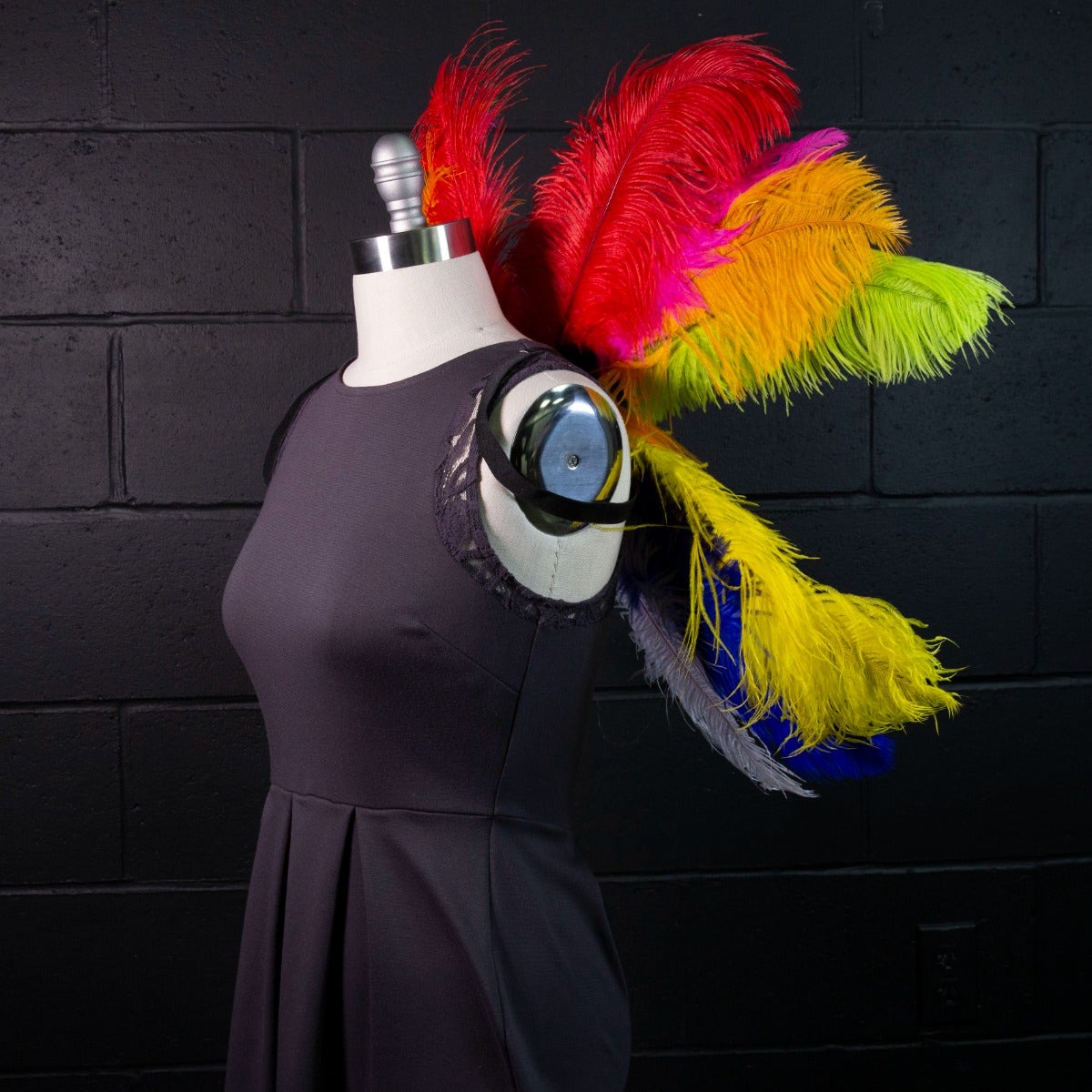 Medium Upcycled Ostrich Feather Costume Wings - Rainbow