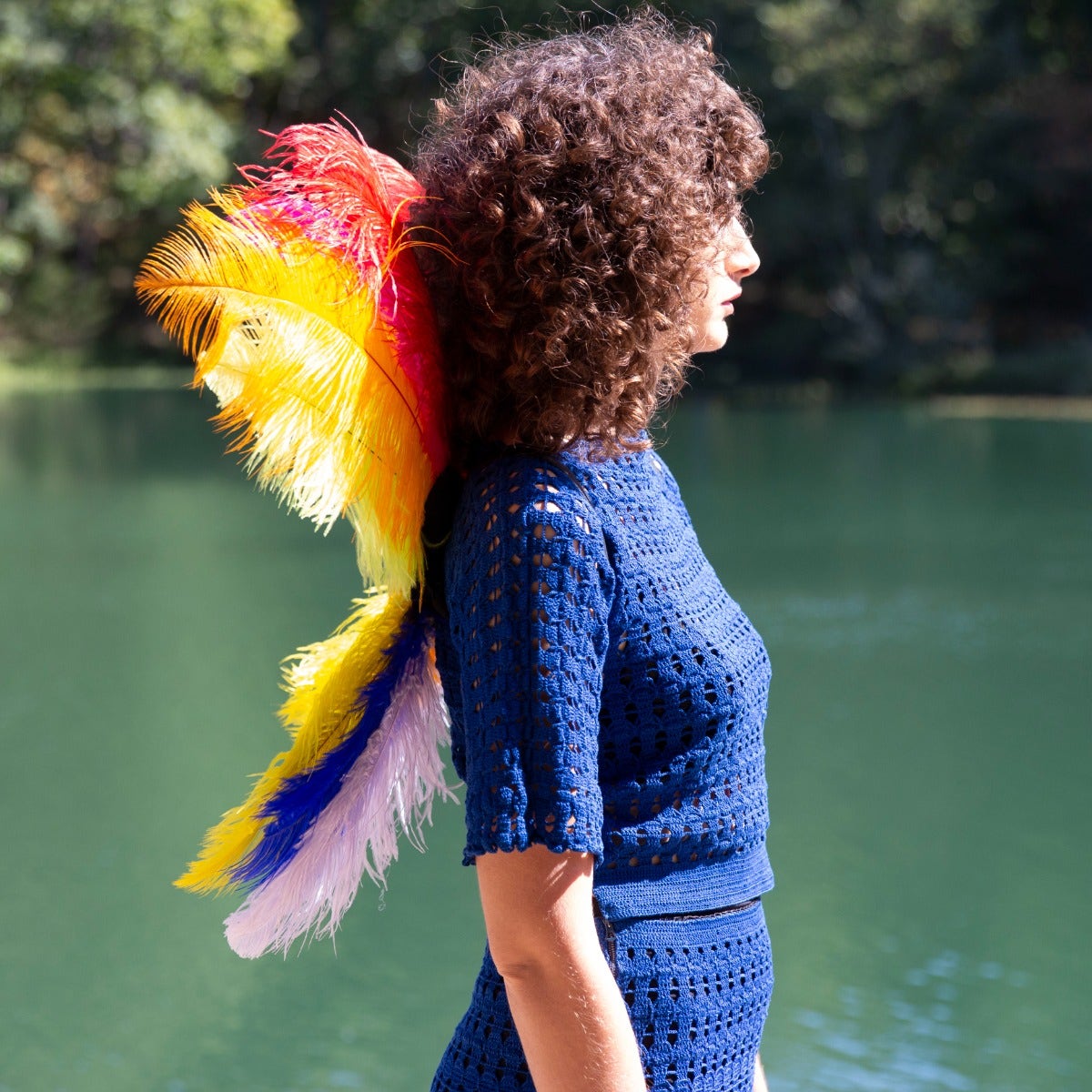 Medium Upcycled Ostrich Feather Costume Wings - Rainbow