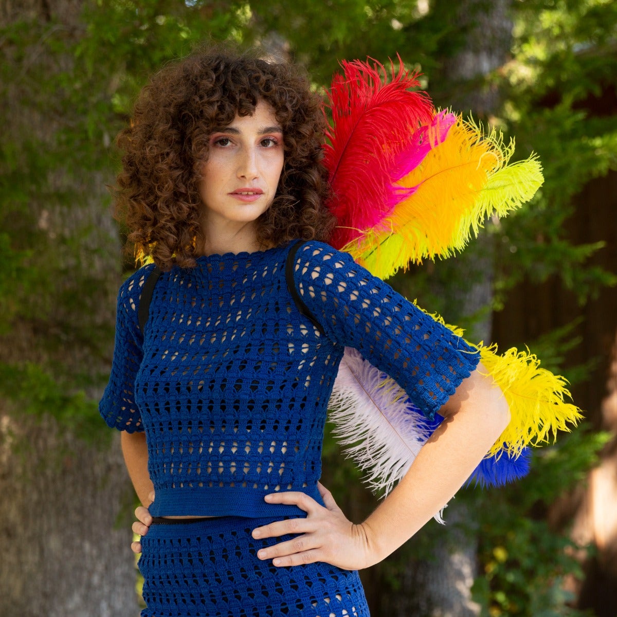 Medium Upcycled Ostrich Feather Costume Wings - Rainbow