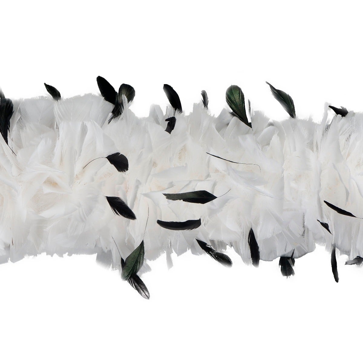 Turkey Feather Boa with Stripped Coque - White/Black