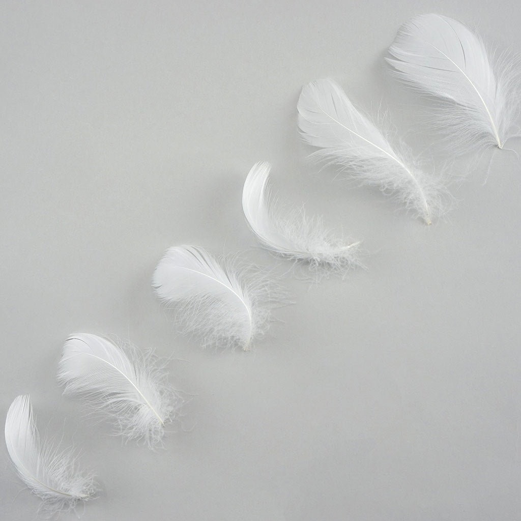 Bulk Goose Coquille Feathers Dyed White 1 4 lb