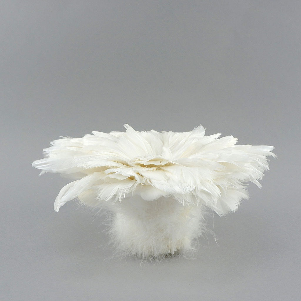 Goose Coquille Feathers Dyed White