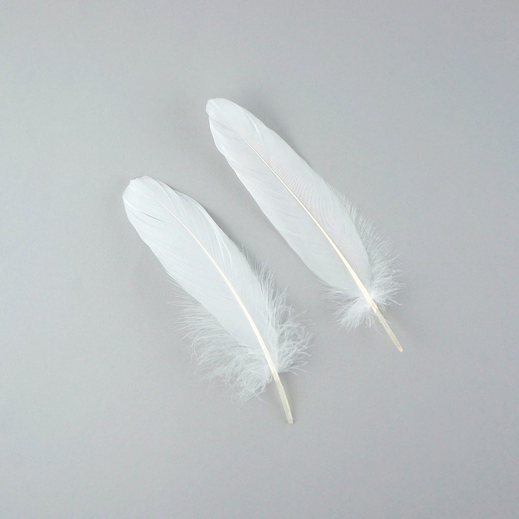 Bulk Goose Pallet Feathers 6-8 Inch - 1/4 LB - White