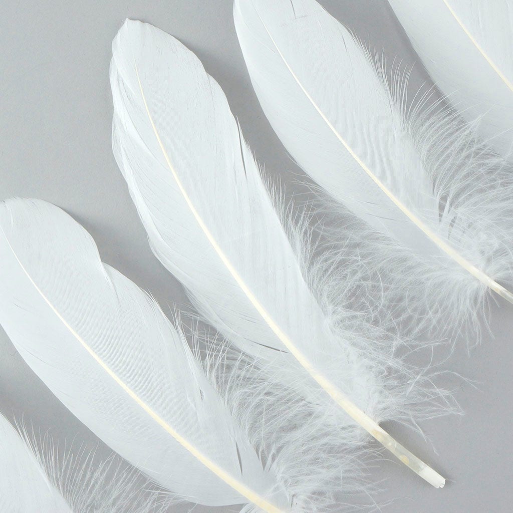 Bulk Goose Pallet Feathers 6-8 Inch - 1/4 LB - White