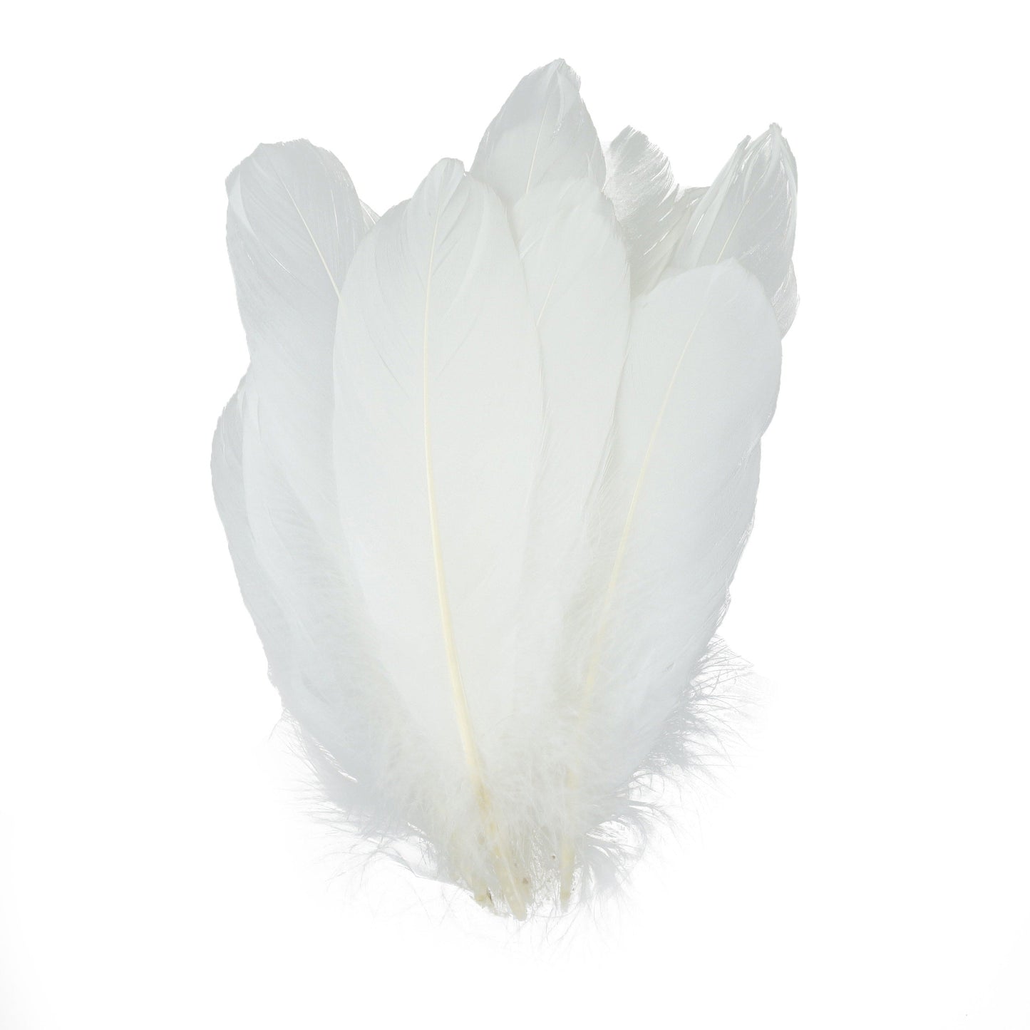 Bulk Goose Pallet Feathers 6-8 Inch - 1/4 LB - White