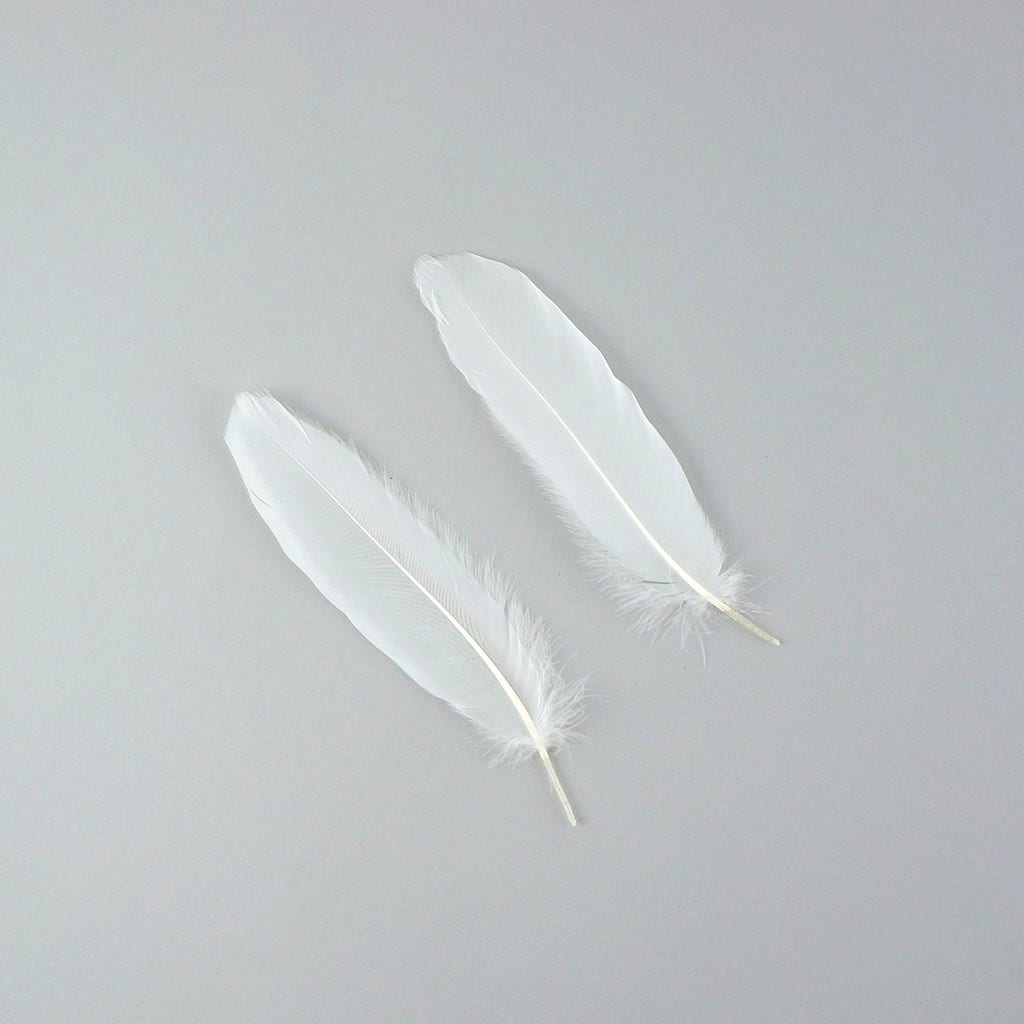 Bulk Goose Satinette Feathers Dyed - White - 1/4 lb
