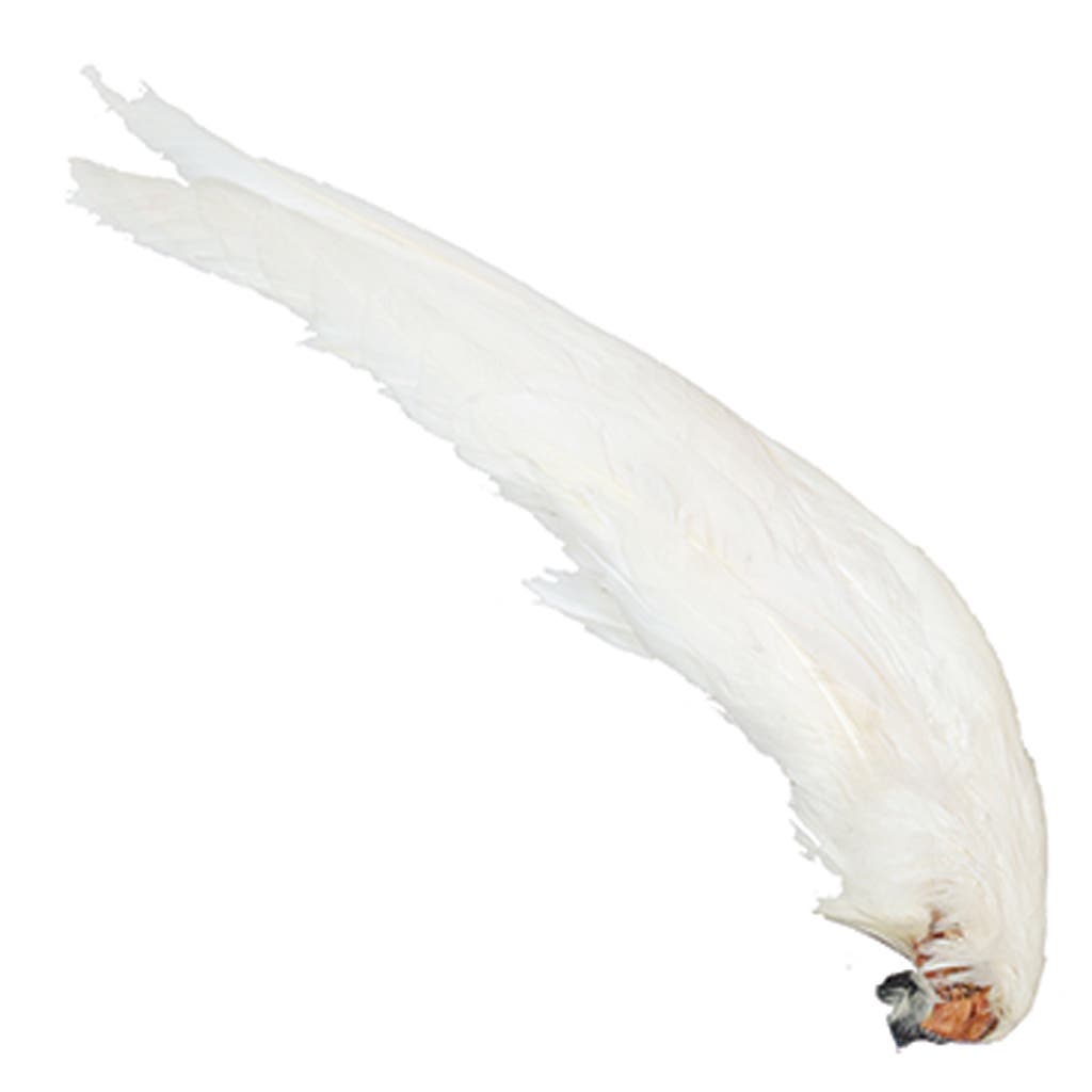 Duck Wings Natural Mallard - White/Natural