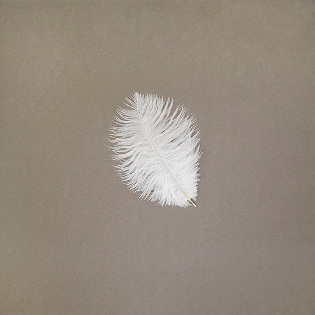 Bulk Feather Ostrich Drabs - 4-8" 1/4 lb White