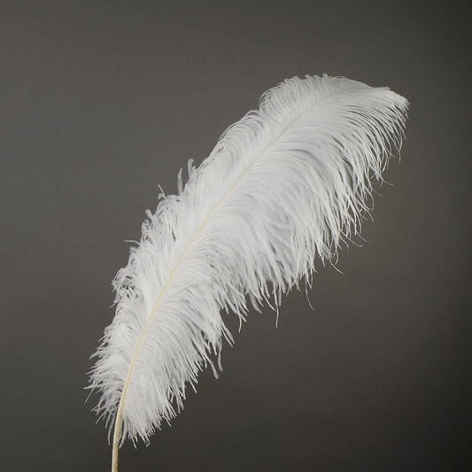 Large Ostrich Feathers - 20-25" Prime Femina Plumes - White