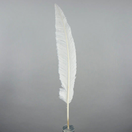Ostrich Nandu Feathers - White