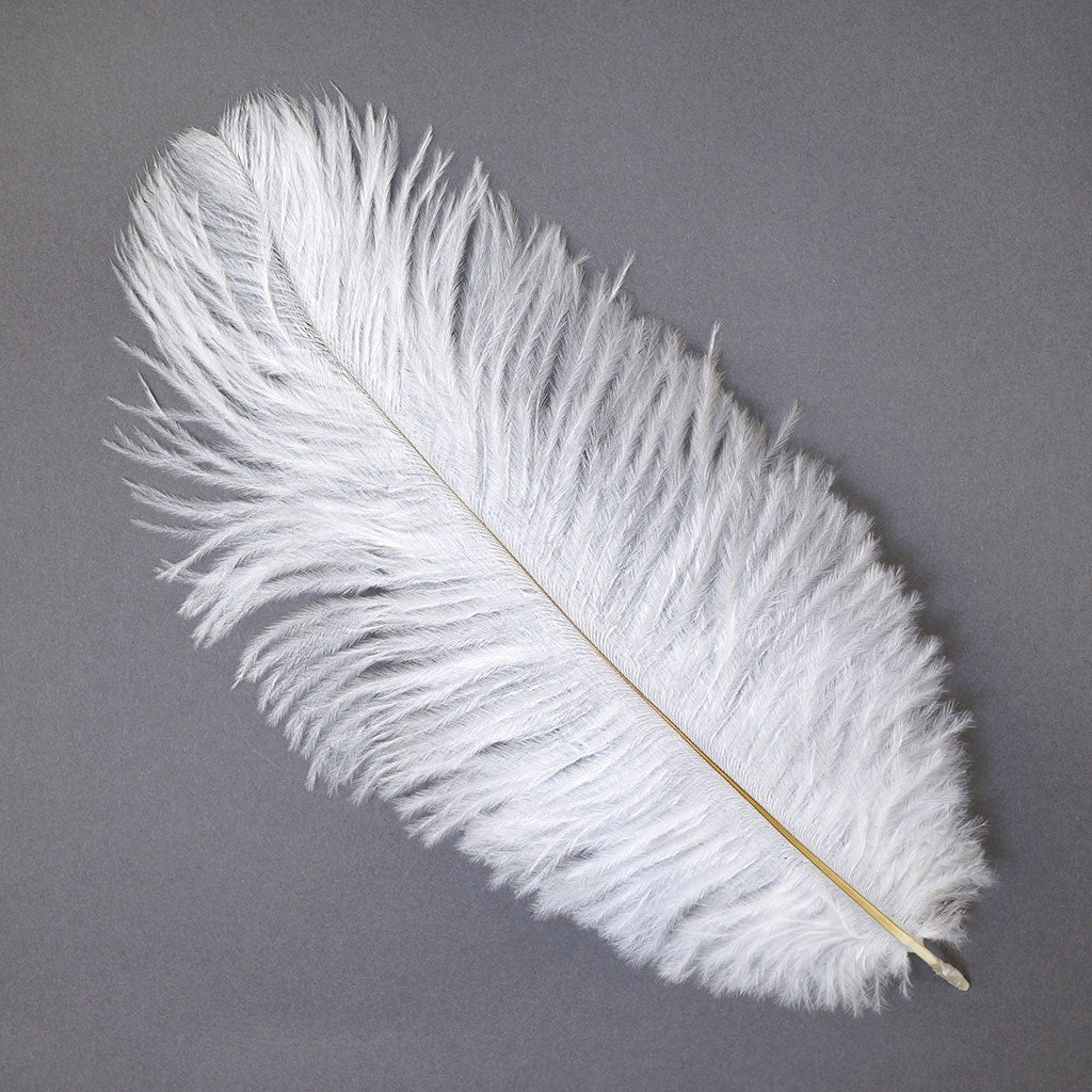 Ostrich Feathers 9-12" Drabs -  White