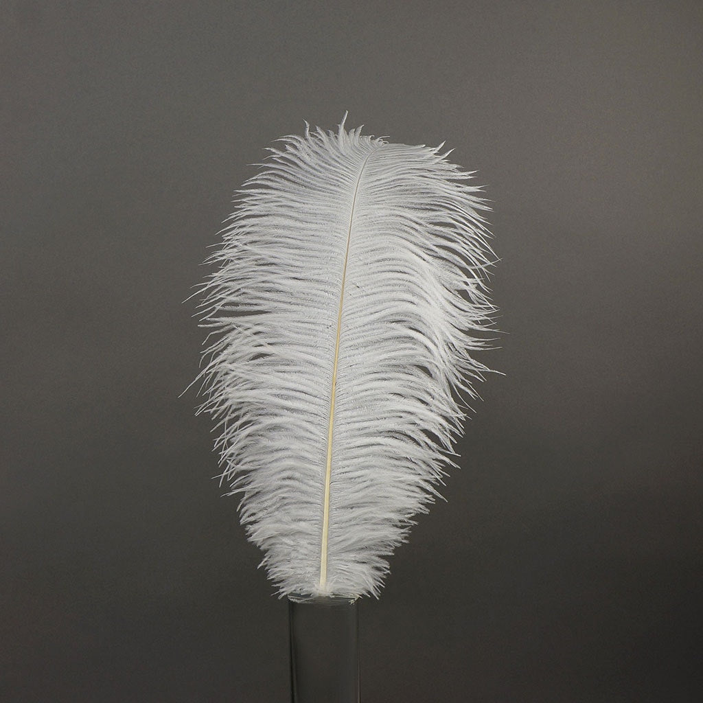 Large Ostrich Feathers - 17"+ Drabs - White