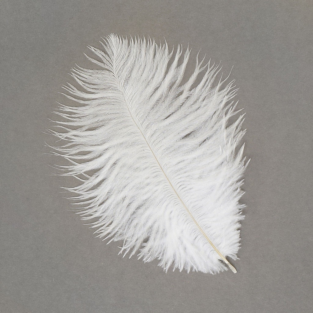 Ostrich Feathers 4-8" Drabs - White