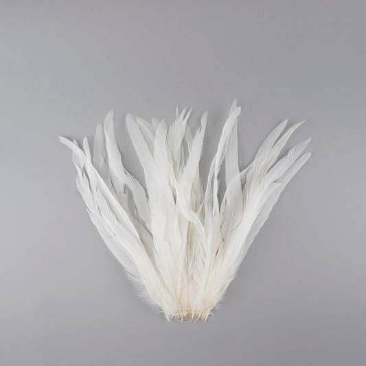 Rooster Tail Feathers 11-14 long Natural Colors – California Hula Center