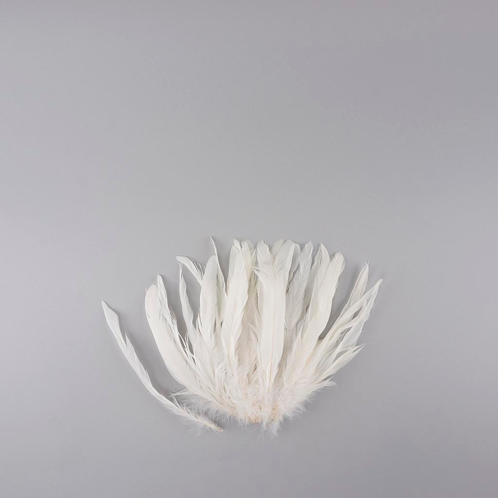 Rooster Coque Tails White-Dyed - White