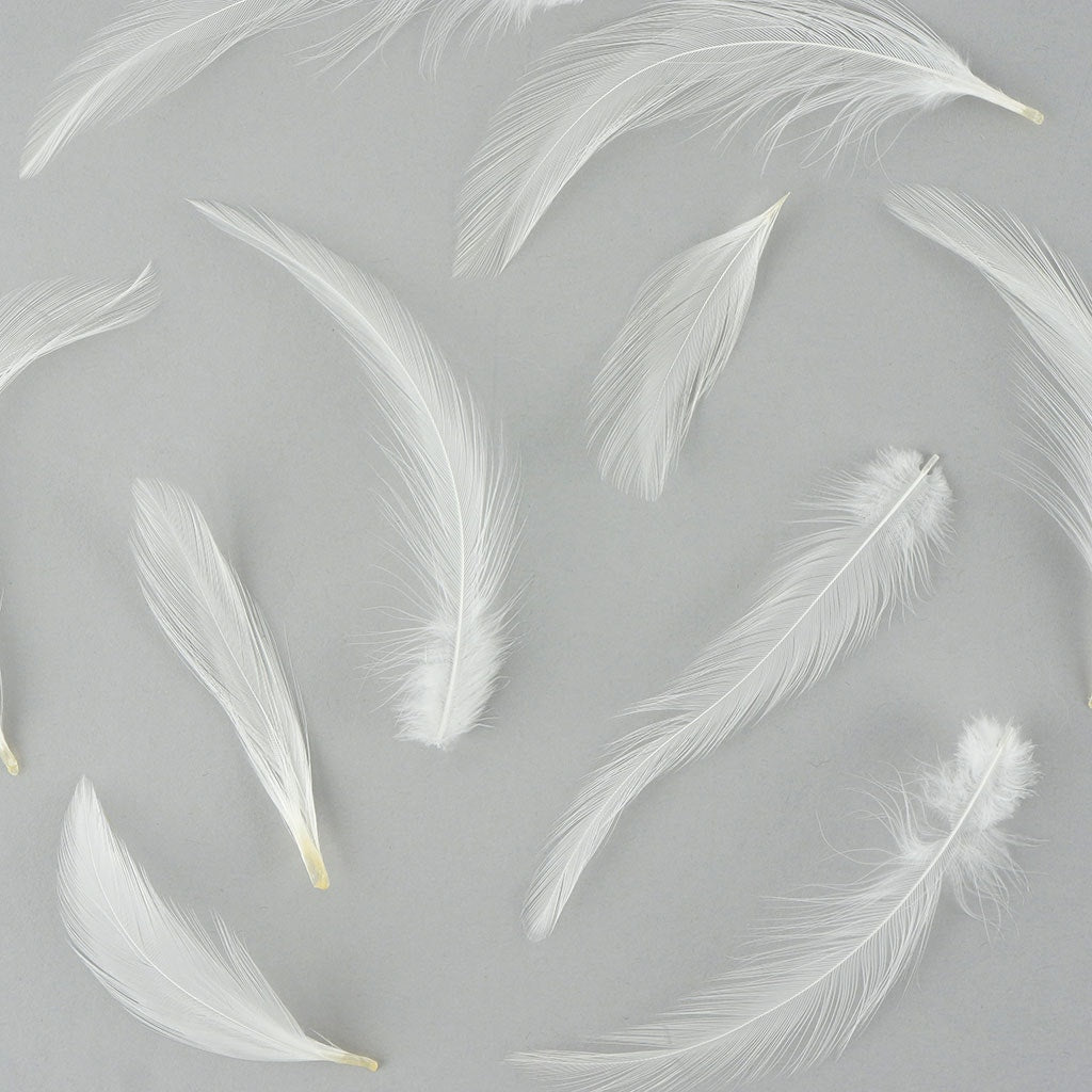 Loose Rooster Hackle Feather Dyed 1-3" - White