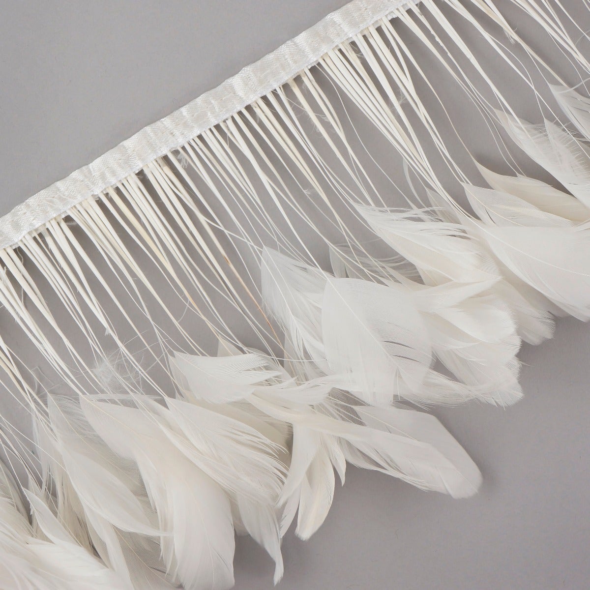 Stripped White-Dyed Coque Fringe - White