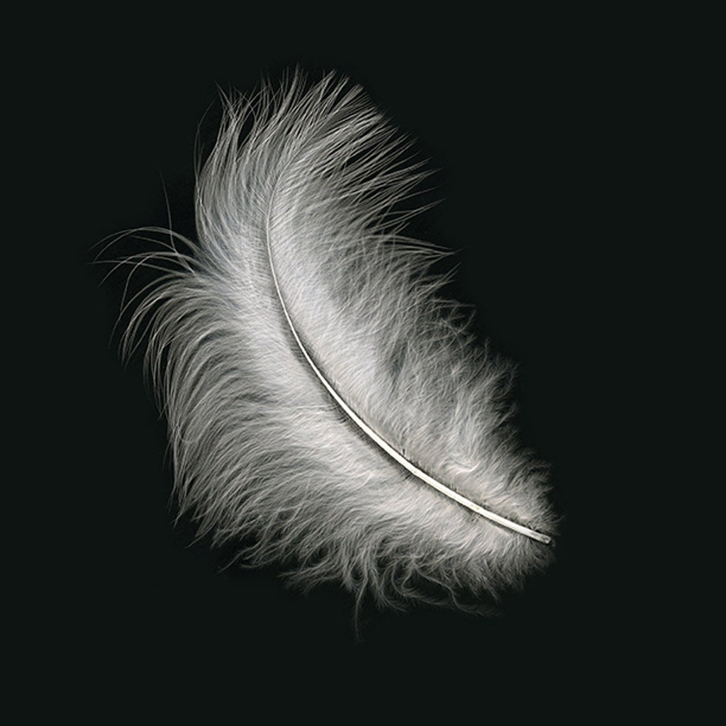 Turkey Marabou Dyed - White