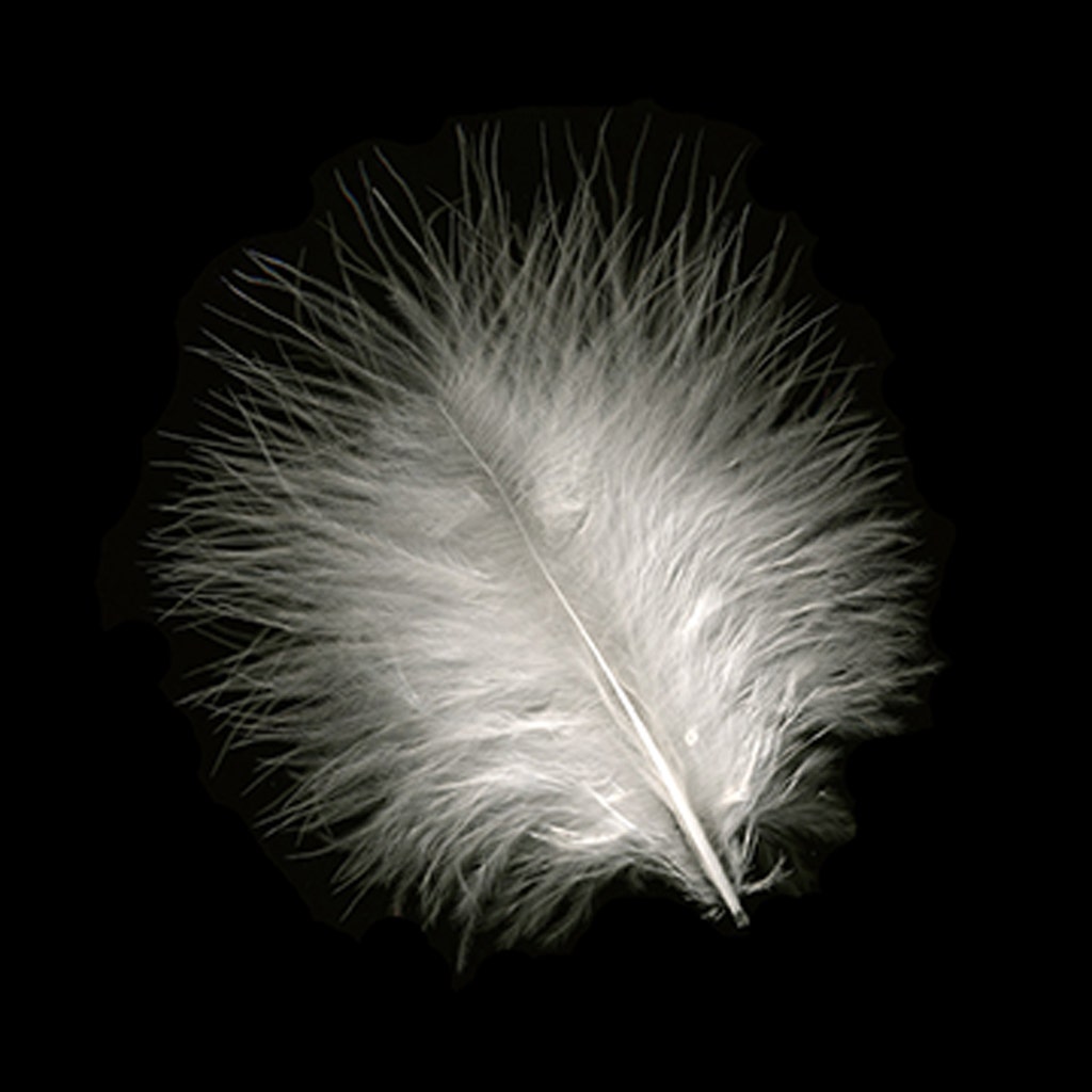 Turkey Marabou Dyed - White