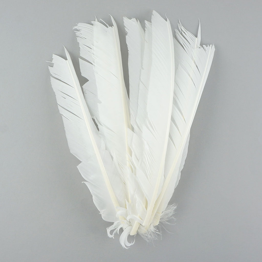 Turkey Pointer Feathers – featherplace.com by Zucker Feather Products, Inc.