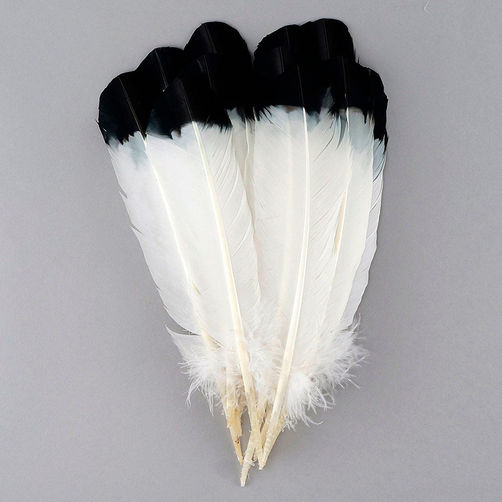 Imitation Eagle Turkey Quills - Black