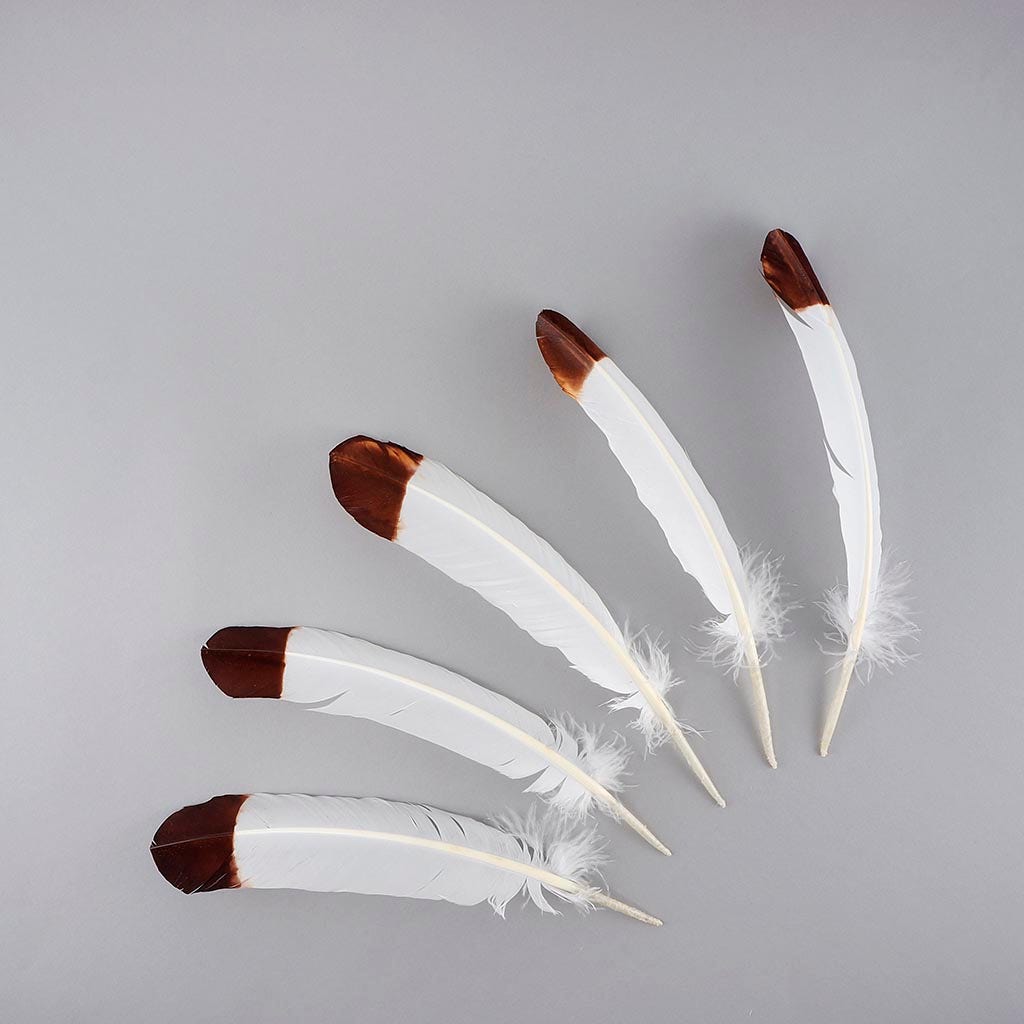 Imitation Eagle Turkey Quills - Brown