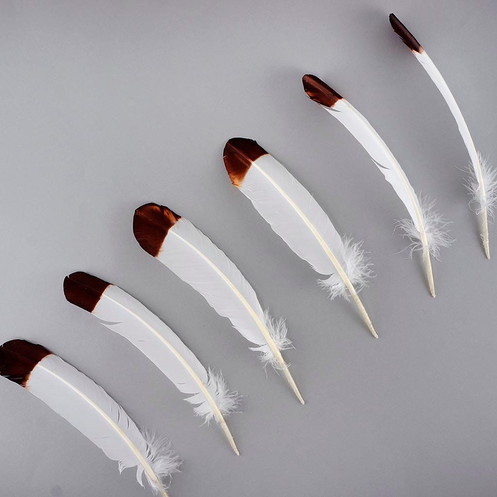 Imitation Eagle Turkey Quills - Brown