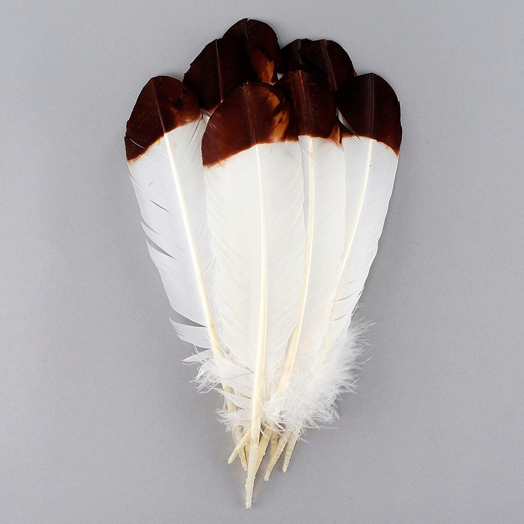 Imitation Eagle Turkey Quills - Brown