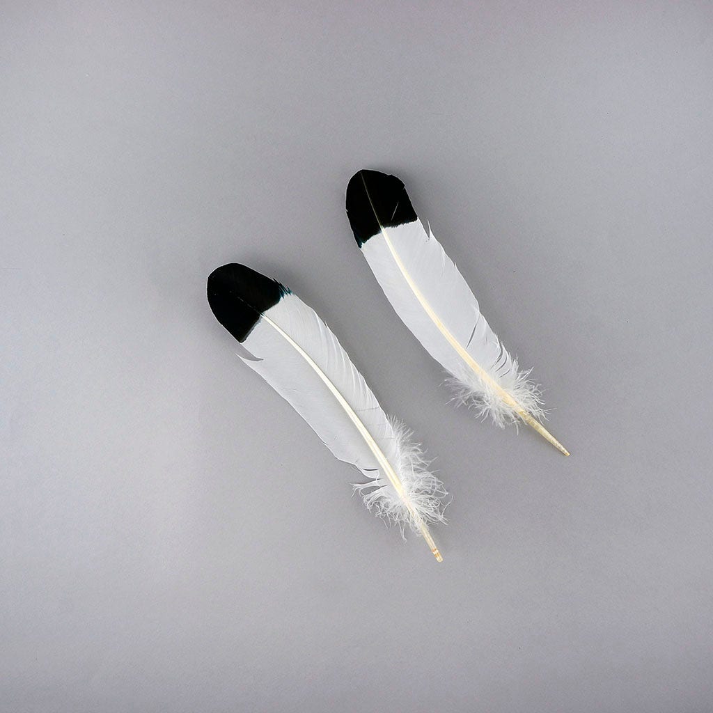 Imitation Eagle Turkey Quills - Black