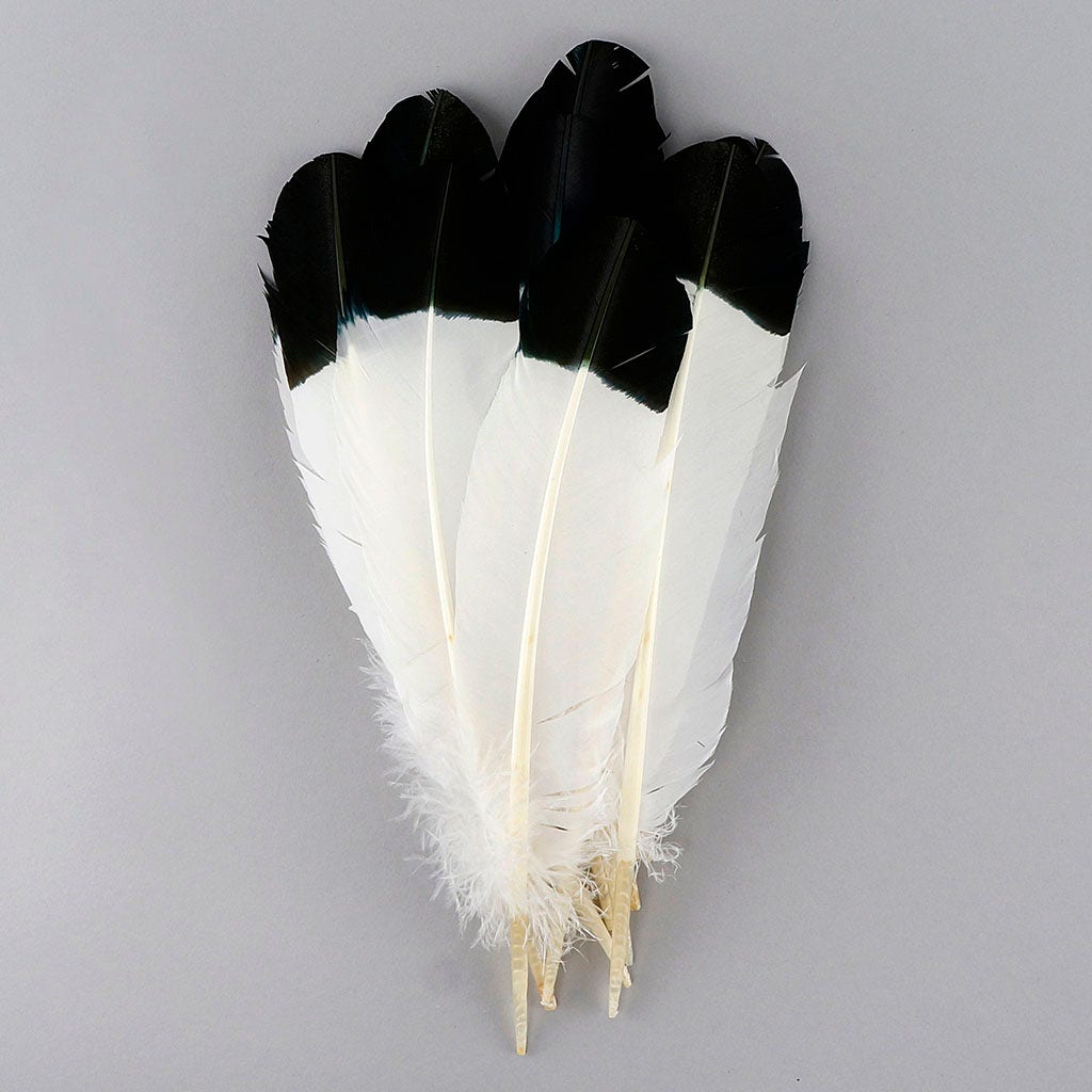 Imitation Eagle Turkey Quills - Black