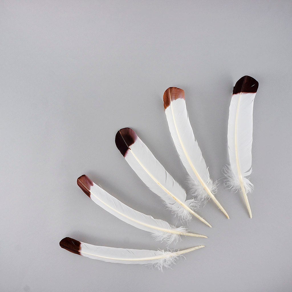 Imitation Eagle Turkey Quills - Brown