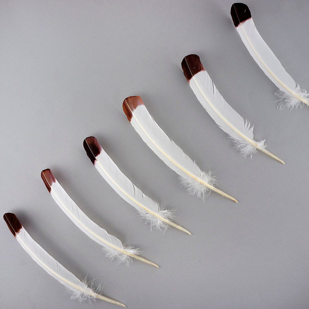 Imitation Eagle Turkey Quills - Brown