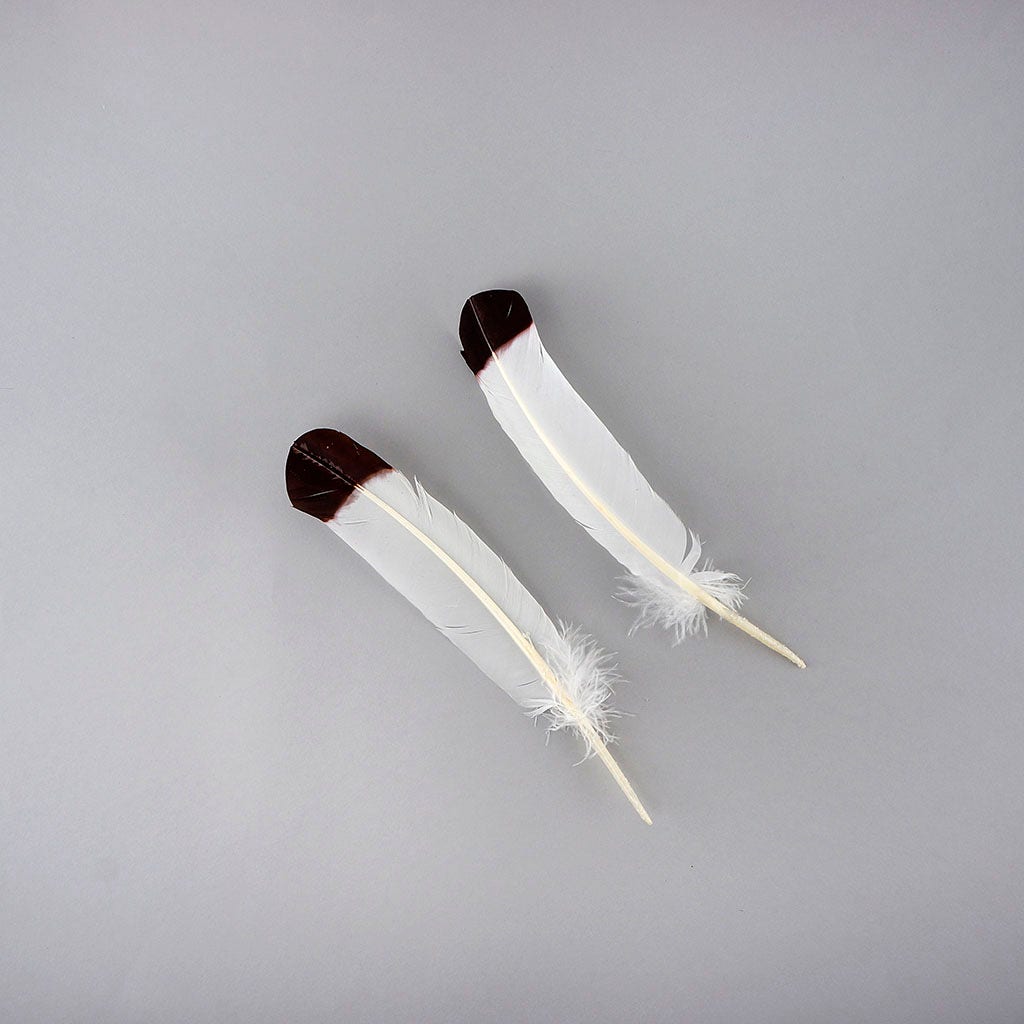 Imitation Eagle Turkey Quills - Brown