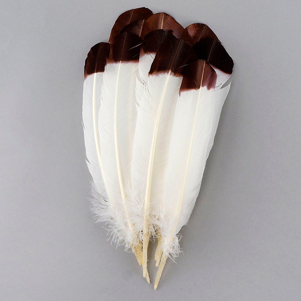 Imitation Eagle Turkey Quills - Brown